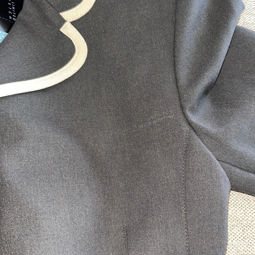 THE LIMITED STRETCH BLAZER - Picture 9 of 9